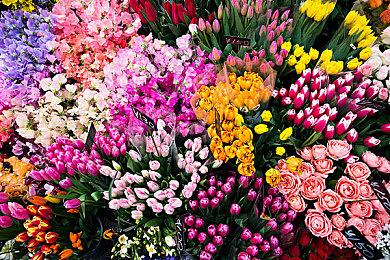 VR游戏《度假模拟器》销量突破百万份，发布新更新